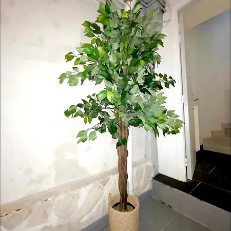 Maison Hyper Centre - Patio - Tv 4k - Wifi-fibre - 4 - Machine A Laver - Seche Linge - Lave Vaisselle - Confort - Spacieux شقة *